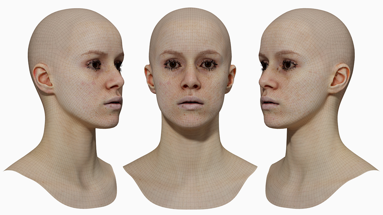 Wireframe Freckled Female 3d Model